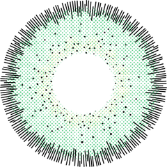 Annouda Contact Lens Verdant Halo Green – 6-Month Use